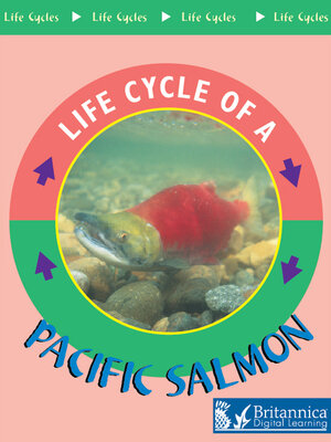 cover image of Pacific Salmon